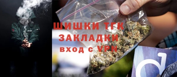 PSILOCYBIN Елабуга