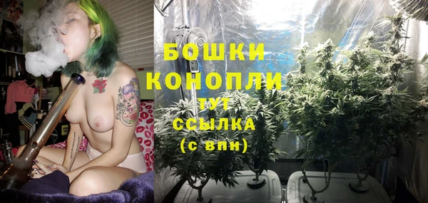 дурь Ельня