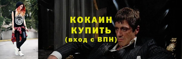 PSILOCYBIN Елабуга