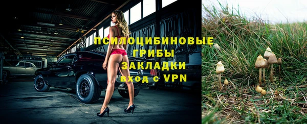 МДПВ Заволжье