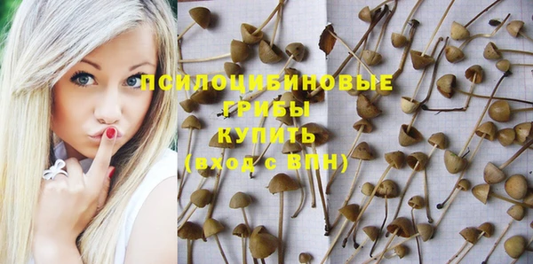эйфоретик Михайлов