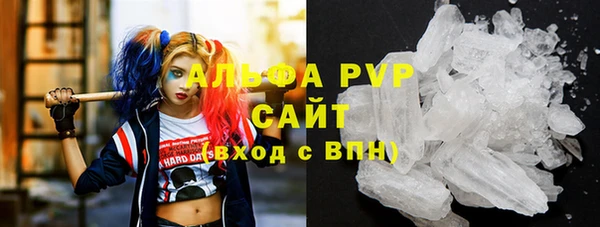 эйфоретик Елизово